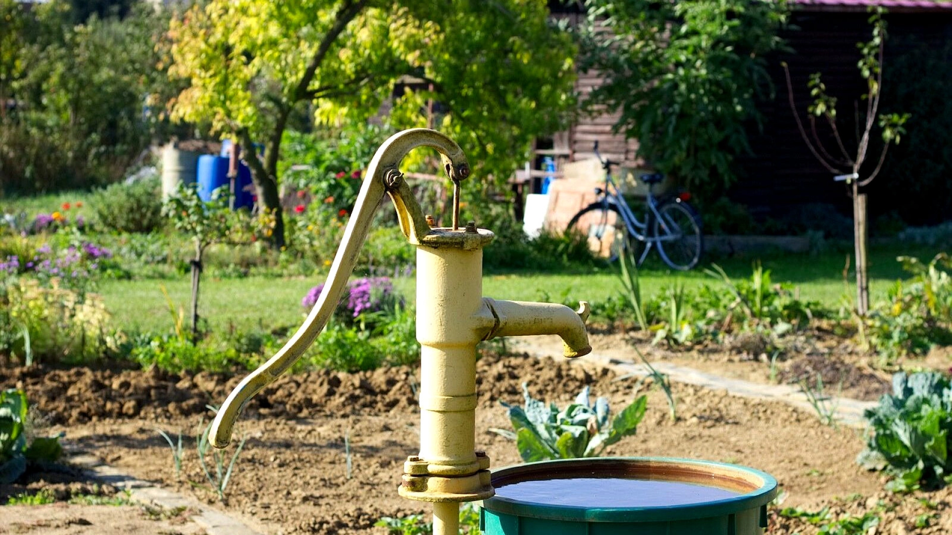 Скважина для дачи